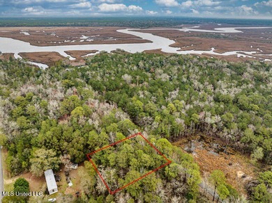 NICE Lot located in OCEAN SPRINGS TO BUILD YOUR HOME. This 1/4 - photo 5