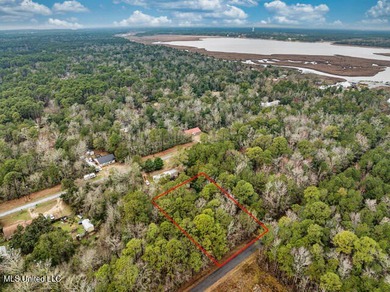 NICE Lot located in OCEAN SPRINGS TO BUILD YOUR HOME. This 1/4 - photo 6