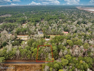 NICE Lot located in OCEAN SPRINGS TO BUILD YOUR HOME. This 1/4 - photo 7