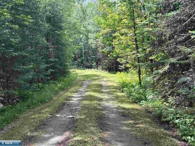 If you want a sunset facing sandy beach, this lot on Ash Lake - photo 3