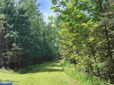 If you want a sunset facing sandy beach, this lot on Ash Lake - photo 4