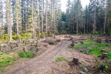 This 1- acre lot is ideally situated, less than 4 miles to the - photo 5