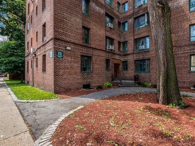 Welcome to 1725 Purdy St #2E. 1 Bedroom 1 Bathroom apartment - photo 14