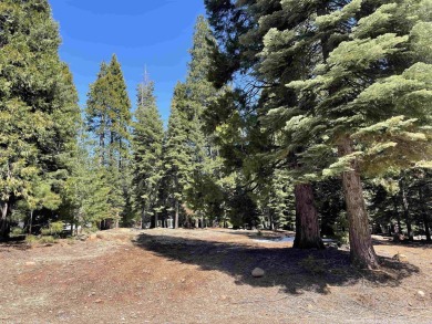 Lake Lot Sale Pending in Lake Almanor, California
