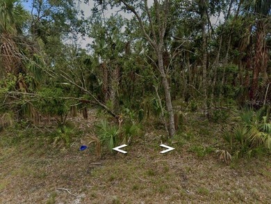 Build your Florida dream home on this residential lot located in - photo 1