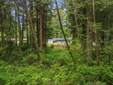Tucked beneath towering redwoods on a full acre, this 2-bedroom - photo 5