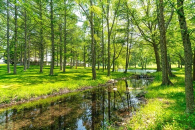 Experience the distinctive charm of this English Manor-an