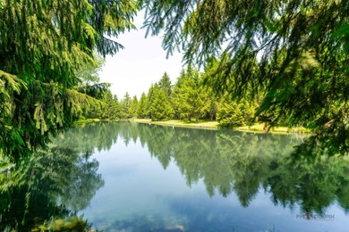 Experience the distinctive charm of this English Manor-an