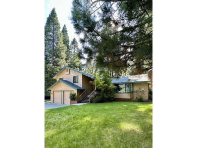 Lake Home For Sale in Lake Almanor, California