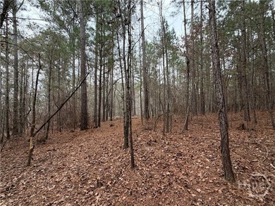 Beautiful wooded lot featuring mature hardwood trees throughout - photo 2