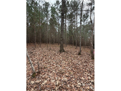 Beautiful wooded lot featuring mature hardwood trees throughout - photo 3