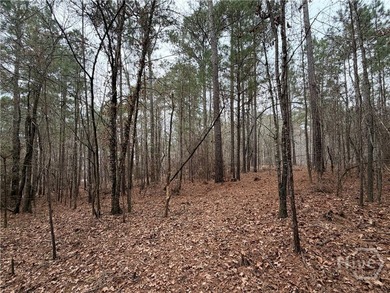 Beautiful wooded lot featuring mature hardwood trees throughout - photo 4