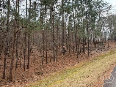 Beautiful wooded lot featuring mature hardwood trees throughout - photo 5