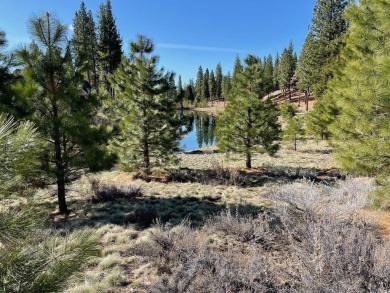Lake Davis Lot For Sale in Portola California