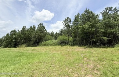 This beautiful 53.3-acre property is located in Summit - photo 2