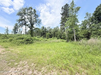 This beautiful 53.3-acre property is located in Summit - photo 4