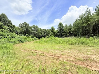 This beautiful 53.3-acre property is located in Summit - photo 6