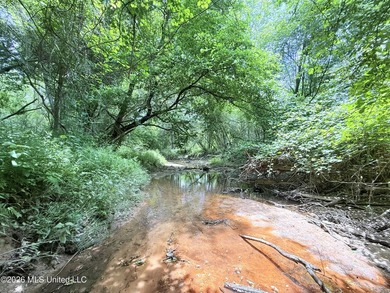 This beautiful 53.3-acre property is located in Summit - photo 7