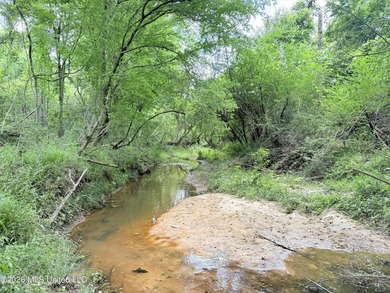 This beautiful 53.3-acre property is located in Summit - photo 8