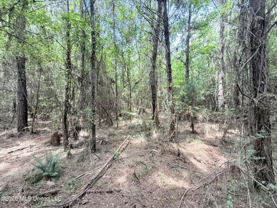 This beautiful 53.3-acre property is located in Summit - photo 10