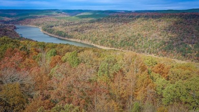 Eagle Ridge Rd. Lots for sale with underground utilities already - photo 38