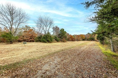 Eagle Ridge Rd. Lots for sale with underground utilities already - photo 44