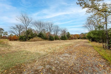 Eagle Ridge Rd. Lots for sale with underground utilities already - photo 46