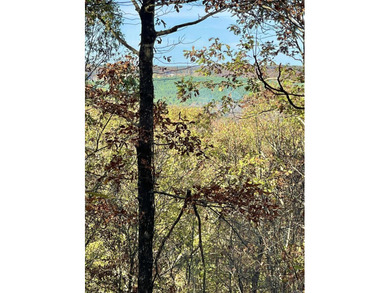 Eagle Ridge Rd. Lots for sale with underground utilities already - photo 49