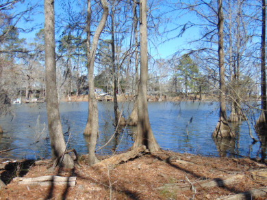 Lake Marion Lot Sale Pending in Elloree South Carolina