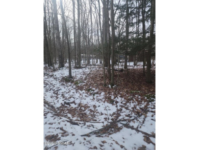 Lake Lot For Sale in Tafton, Pennsylvania