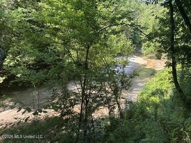 This beautiful 9.75-acre property in Wilkinson County offers the - photo 1