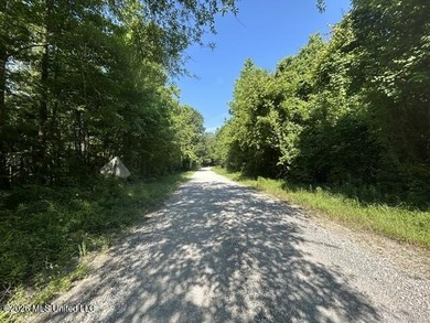 This beautiful 9.75-acre property in Wilkinson County offers the - photo 2