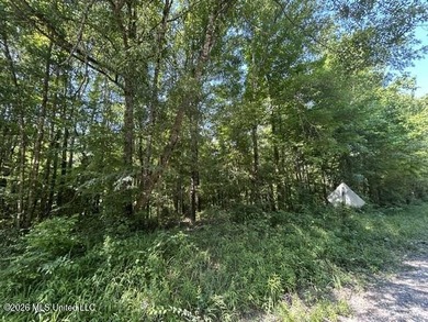 This beautiful 9.75-acre property in Wilkinson County offers the - photo 3