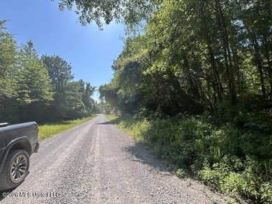 This beautiful 9.75-acre property in Wilkinson County offers the - photo 4