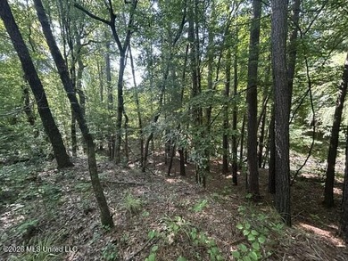 This beautiful 9.75-acre property in Wilkinson County offers the - photo 5