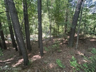 This beautiful 9.75-acre property in Wilkinson County offers the - photo 6