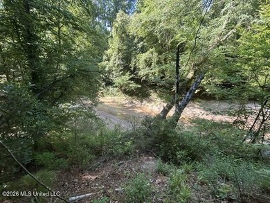 This beautiful 9.75-acre property in Wilkinson County offers the - photo 7