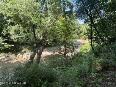 This beautiful 9.75-acre property in Wilkinson County offers the - photo 8