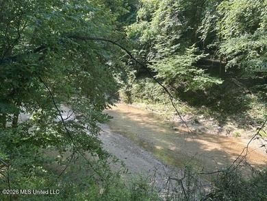 This beautiful 9.75-acre property in Wilkinson County offers the - photo 9