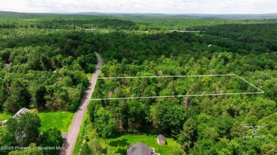 Lake Lot For Sale in Gouldsboro, Pennsylvania