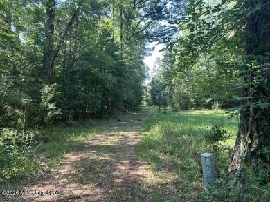 This secluded 9.88-acre property in Wilkinson County adjoining - photo 1