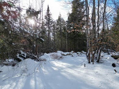 (private lake, pond, coastal) Acreage For Sale in Lincoln Maine