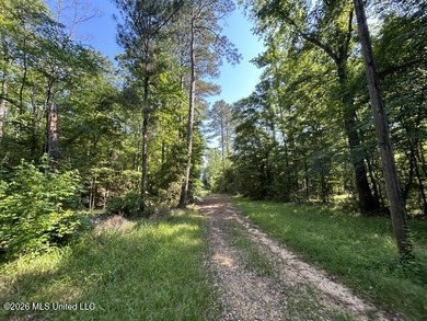 This secluded 9.88-acre property in Wilkinson County adjoining - photo 2
