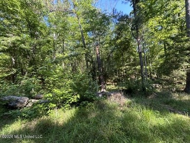 This secluded 9.88-acre property in Wilkinson County adjoining - photo 3