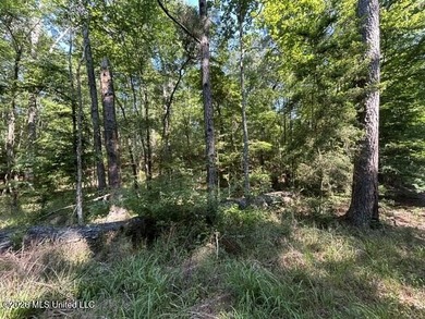 This secluded 9.88-acre property in Wilkinson County adjoining - photo 4