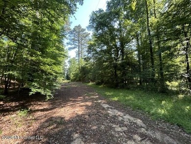 This secluded 9.88-acre property in Wilkinson County adjoining - photo 5