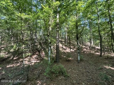 This secluded 9.88-acre property in Wilkinson County adjoining - photo 6
