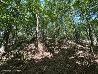 This secluded 9.88-acre property in Wilkinson County adjoining - photo 7