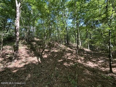 This secluded 9.88-acre property in Wilkinson County adjoining - photo 8