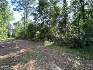 This secluded 9.88-acre property in Wilkinson County adjoining - photo 9